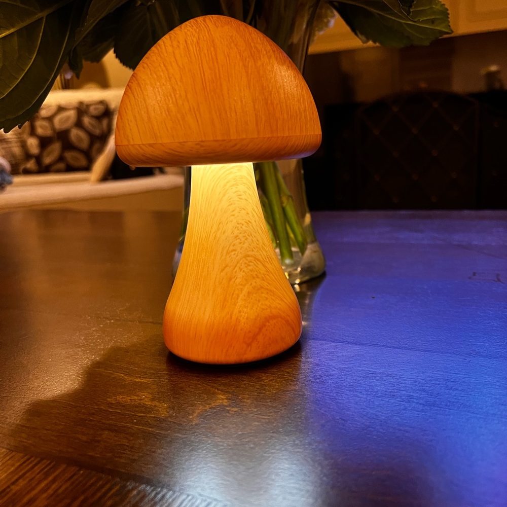 Mushroom Accent Lamp - Picture 2 of 4